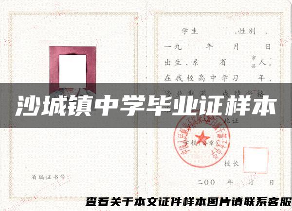 沙城镇中学毕业证样本