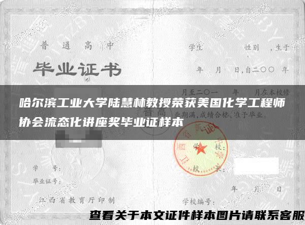 哈尔滨工业大学陆慧林教授荣获美国化学工程师协会流态化讲座奖毕业证样本