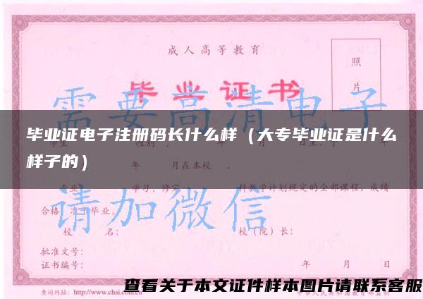 毕业证电子注册码长什么样（大专毕业证是什么样子的）