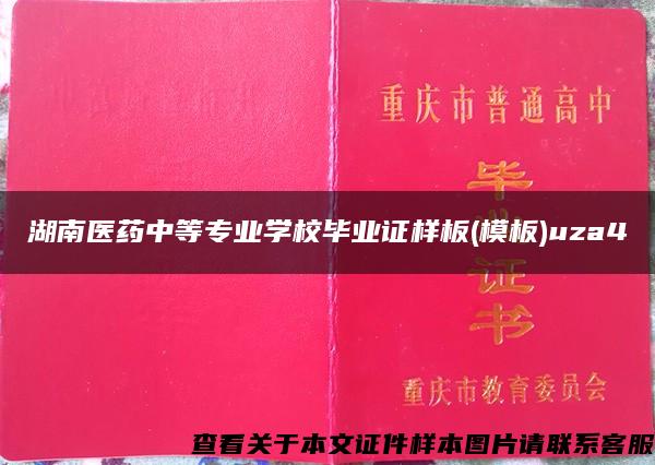 湖南医药中等专业学校毕业证样板(模板)uza4