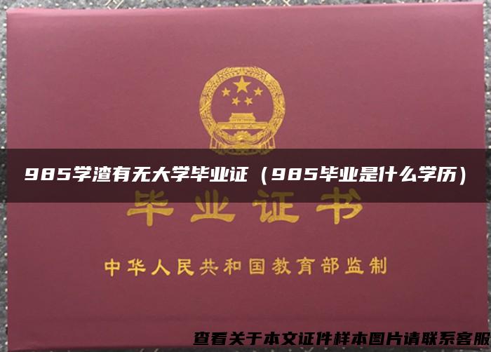 985学渣有无大学毕业证（985毕业是什么学历）