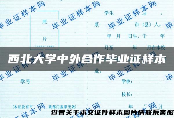 西北大学中外合作毕业证样本