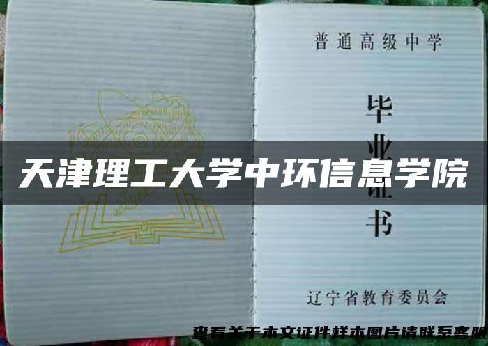 天津理工大学中环信息学院