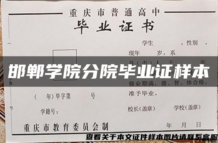 邯郸学院分院毕业证样本