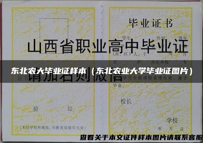 东北农大毕业证样本（东北农业大学毕业证图片）