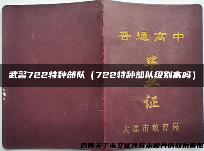 武警722特种部队（722特种部队级别高吗）