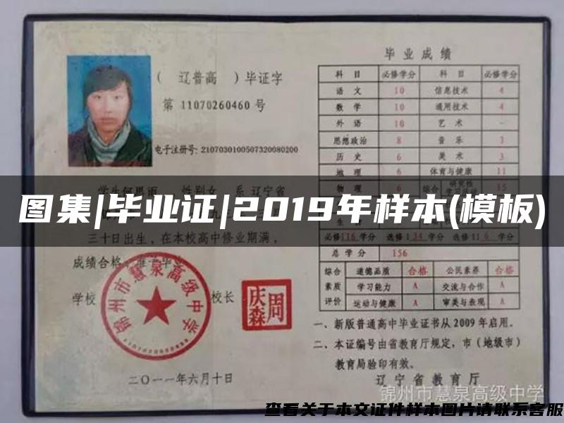 图集|毕业证|2019年样本(模板)