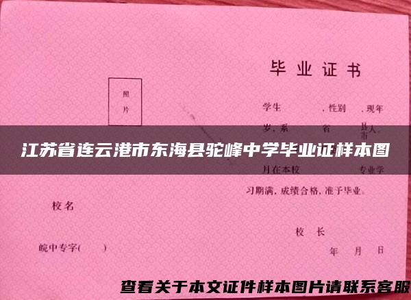 江苏省连云港市东海县驼峰中学毕业证样本图