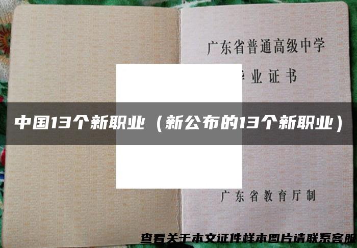 中国13个新职业（新公布的13个新职业）