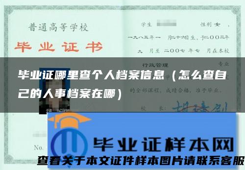 毕业证哪里查个人档案信息（怎么查自己的人事档案在哪）