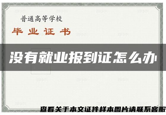 没有就业报到证怎么办