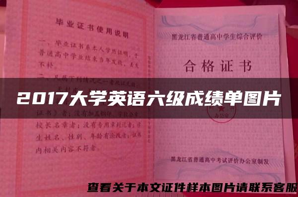 2017大学英语六级成绩单图片