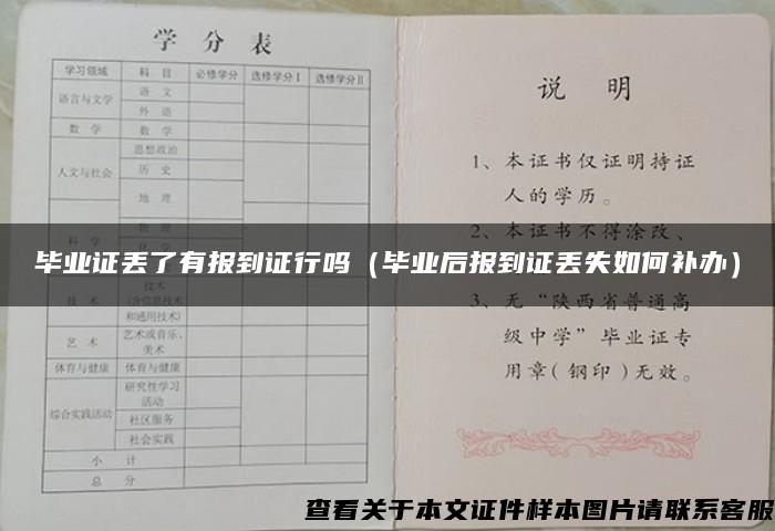 毕业证丢了有报到证行吗（毕业后报到证丢失如何补办）