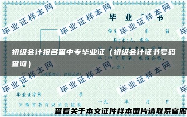 初级会计报名查中专毕业证（初级会计证书号码查询）