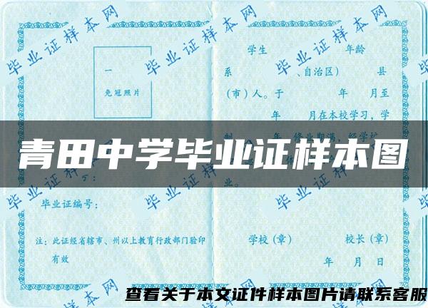 青田中学毕业证样本图