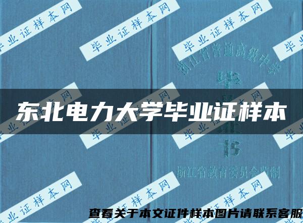 东北电力大学毕业证样本