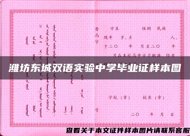 潍坊东城双语实验中学毕业证样本图