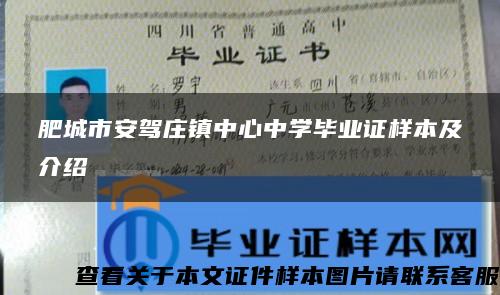 肥城市安驾庄镇中心中学毕业证样本及介绍