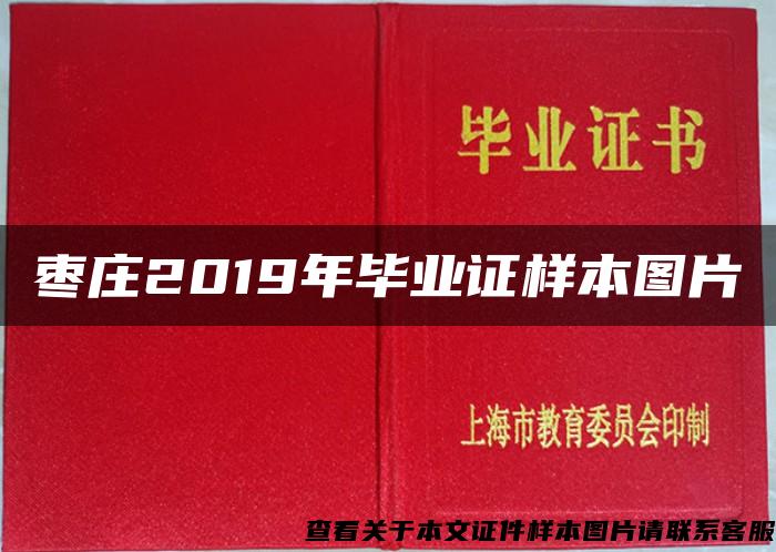 枣庄2019年毕业证样本图片