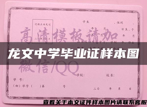 龙文中学毕业证样本图