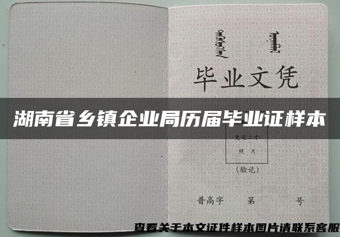 湖南省乡镇企业局历届毕业证样本