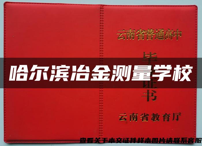 哈尔滨冶金测量学校