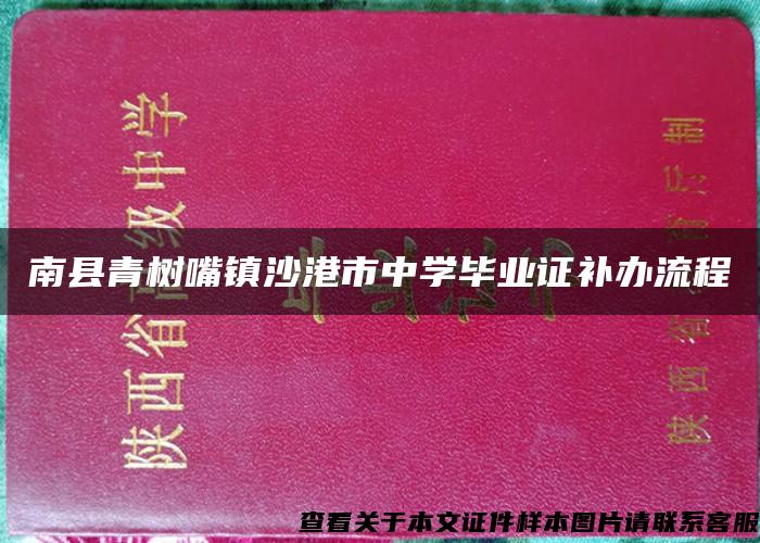 南县青树嘴镇沙港市中学毕业证补办流程