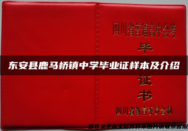 东安县鹿马桥镇中学毕业证样本及介绍