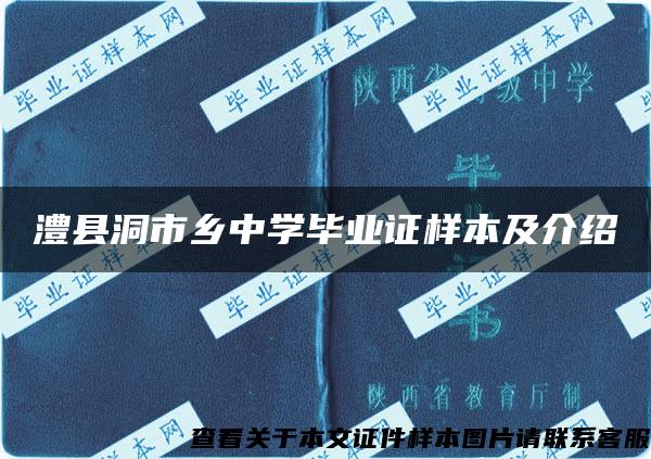 澧县洞市乡中学毕业证样本及介绍