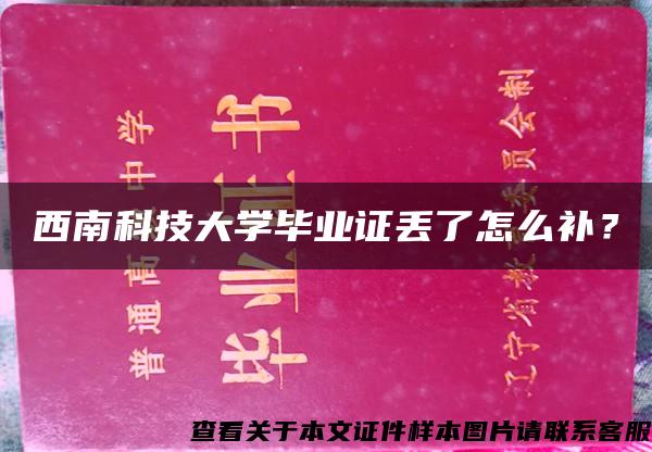 西南科技大学毕业证丢了怎么补？