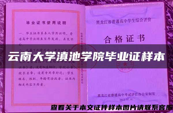 云南大学滇池学院毕业证样本