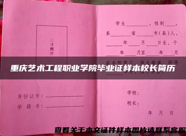 重庆艺术工程职业学院毕业证样本校长简历