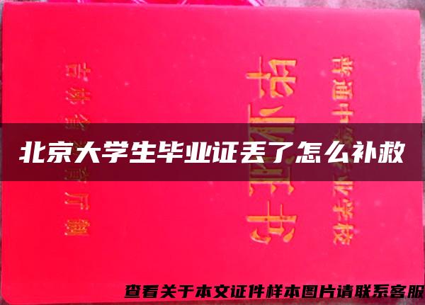 北京大学生毕业证丢了怎么补救