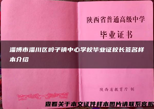 淄博市淄川区岭子镇中心学校毕业证校长签名样本介绍