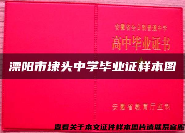 溧阳市埭头中学毕业证样本图