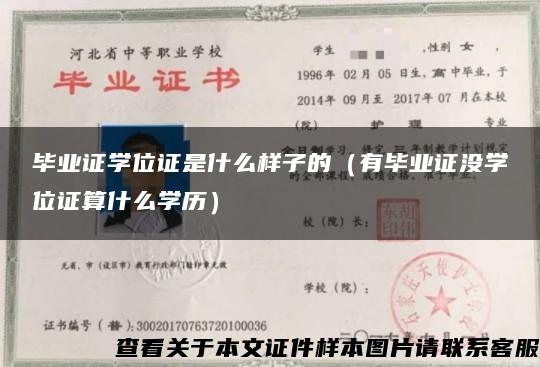 毕业证学位证是什么样子的（有毕业证没学位证算什么学历）