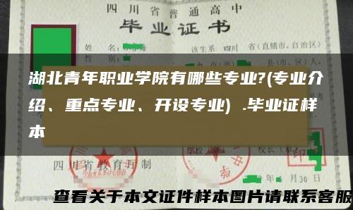 湖北青年职业学院有哪些专业?(专业介绍、重点专业、开设专业) .毕业证样本