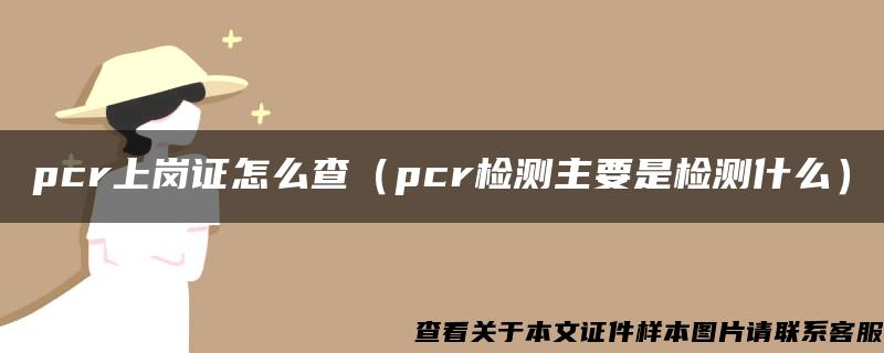 pcr上岗证怎么查（pcr检测主要是检测什么）