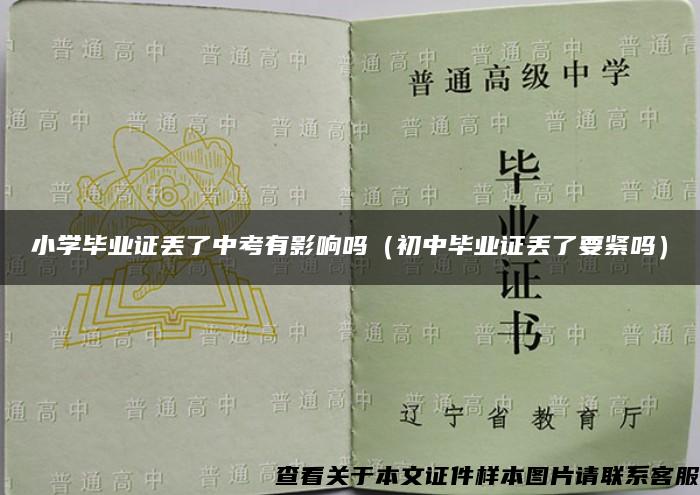 小学毕业证丢了中考有影响吗（初中毕业证丢了要紧吗）