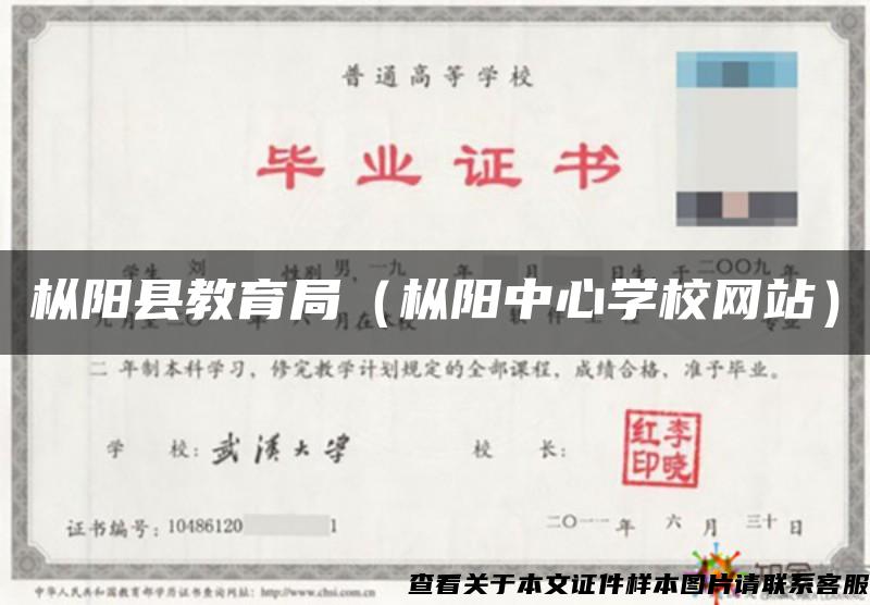 枞阳县教育局（枞阳中心学校网站）