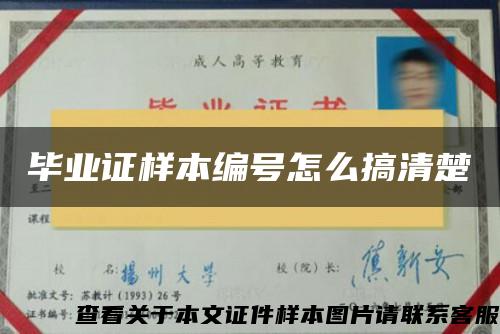 毕业证样本编号怎么搞清楚