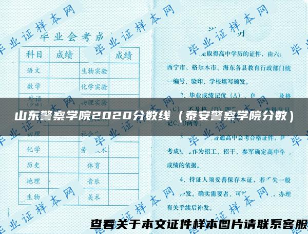 山东警察学院2020分数线（泰安警察学院分数）