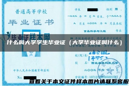 什么叫大学学生毕业证（大学毕业证叫什么）