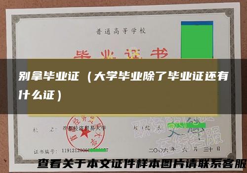 别拿毕业证（大学毕业除了毕业证还有什么证）