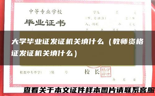 大学毕业证发证机关填什么（教师资格证发证机关填什么）