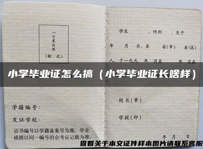 小学毕业证怎么搞（小学毕业证长啥样）