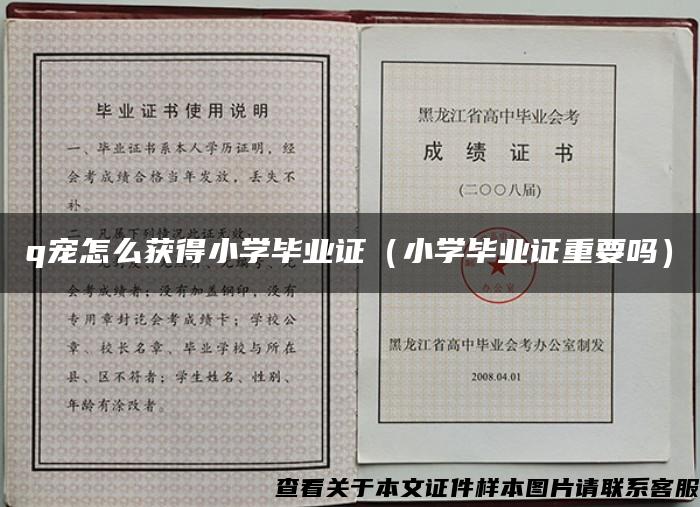 q宠怎么获得小学毕业证（小学毕业证重要吗）