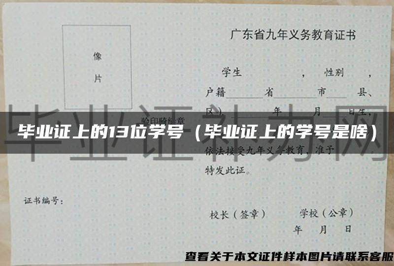 毕业证上的13位学号（毕业证上的学号是啥）