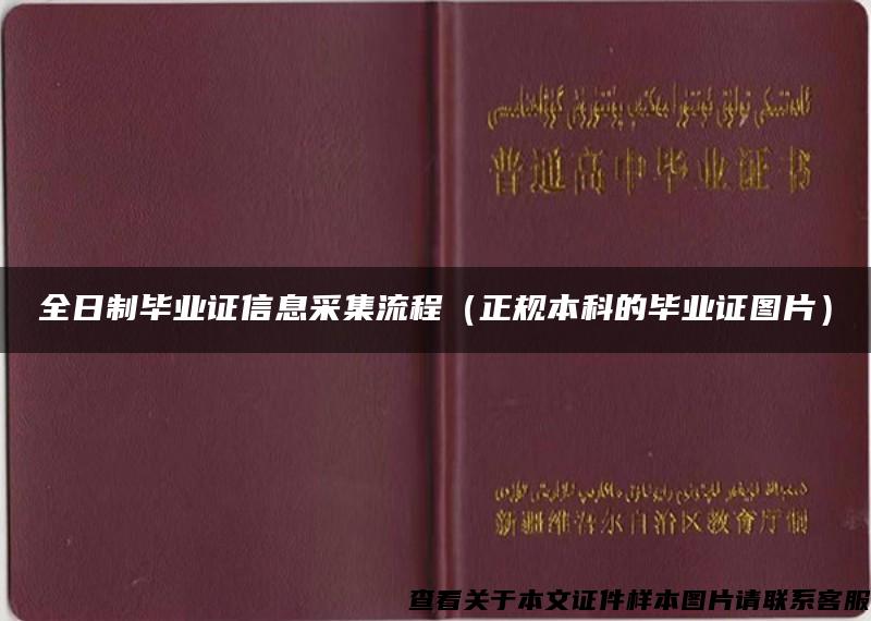 全日制毕业证信息采集流程（正规本科的毕业证图片）