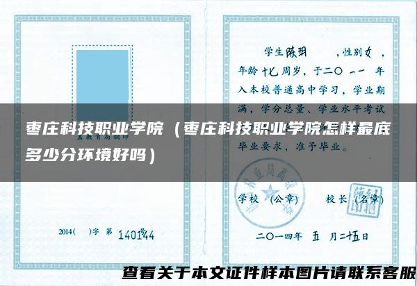 枣庄科技职业学院（枣庄科技职业学院怎样最底多少分环境好吗）